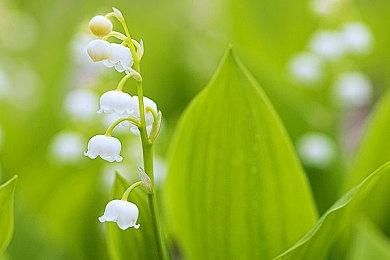 SIE新专利暗示提高PS5游戏的光追性能